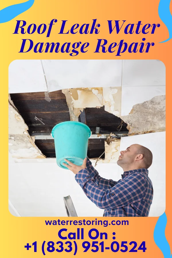 Roof Leak Water Damage Repair in Keytesville, MO
