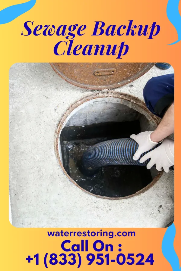 Sewage Backup Cleanup in Keytesville, MO